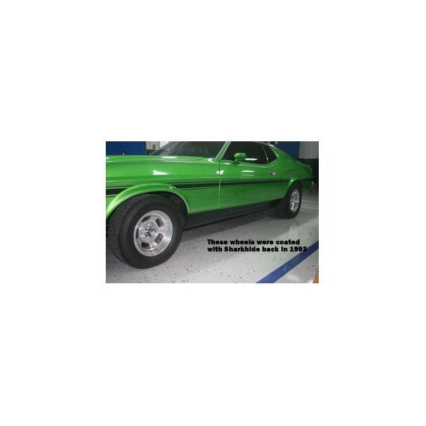 Eastwood Sharkhide Aluminium Protectant