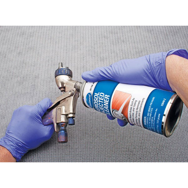 Eastwood Aerosol Injected Cleaner 